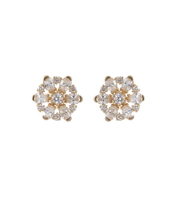 Diamond Earrings (250)